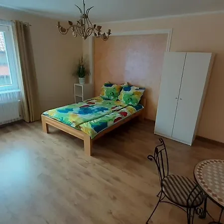 Guest house Saba 3*