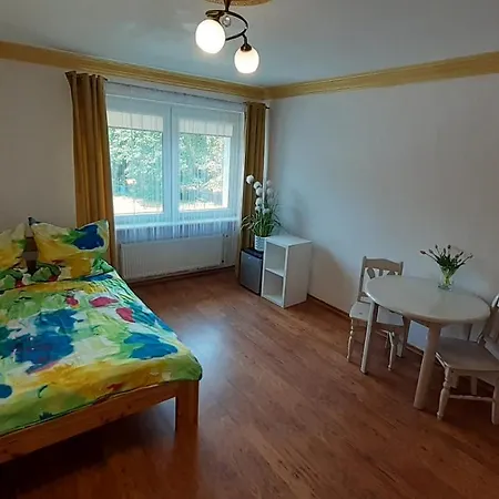 Saba Guest house 3*