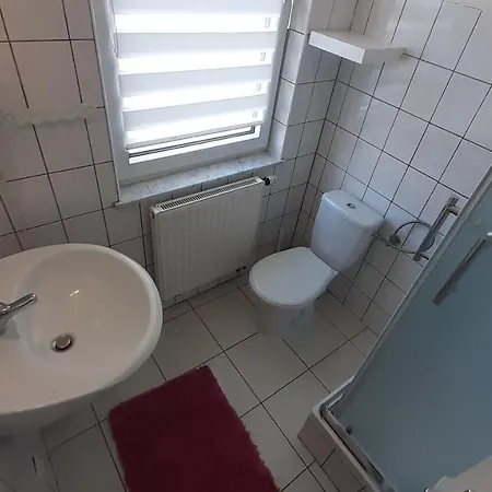 Guest house Saba 3*