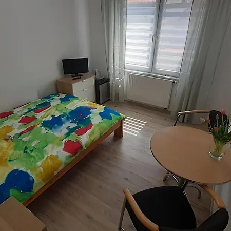 Saba Guest house 3*